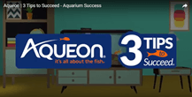 Aqueon-3-tips-to-success