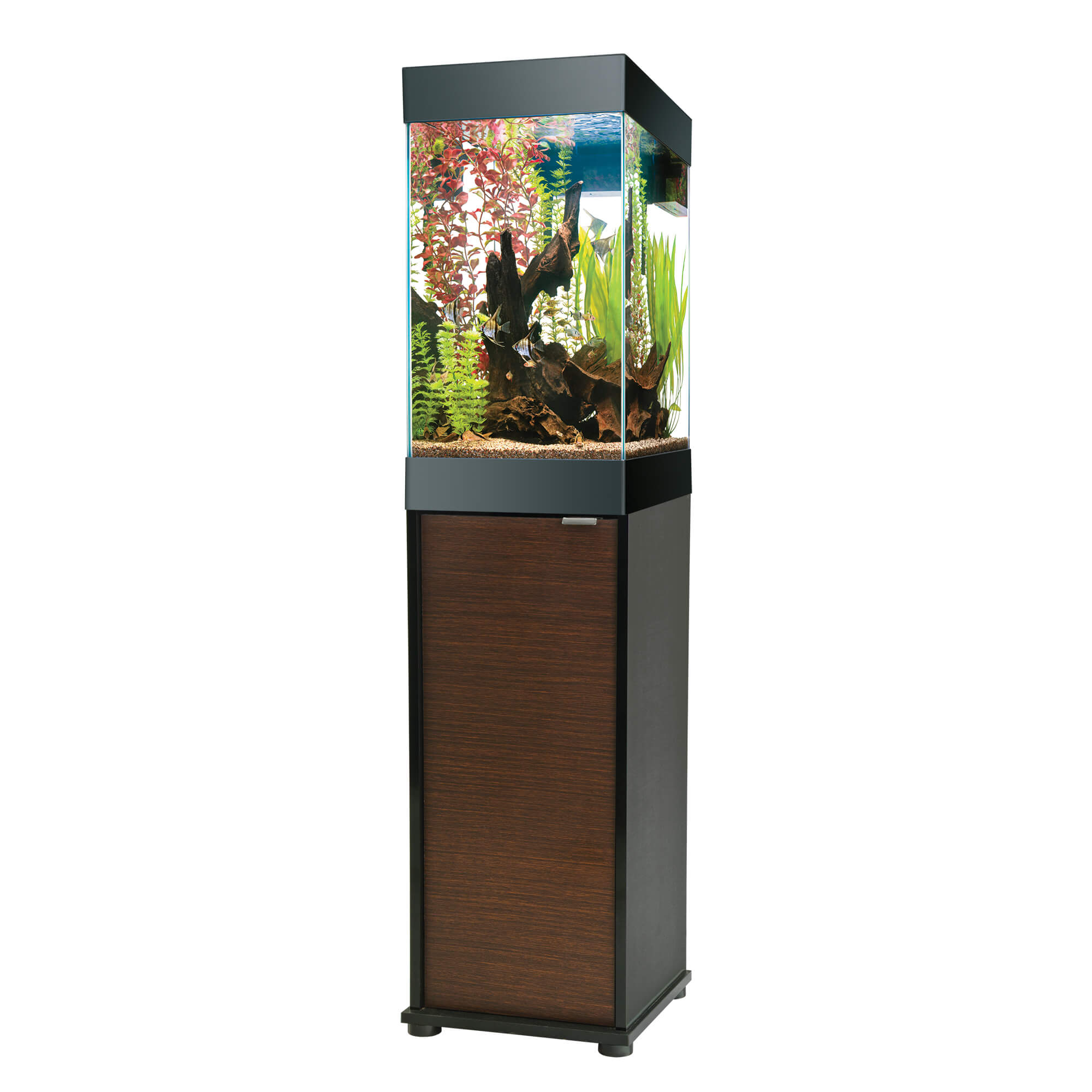 fish aquarium stands