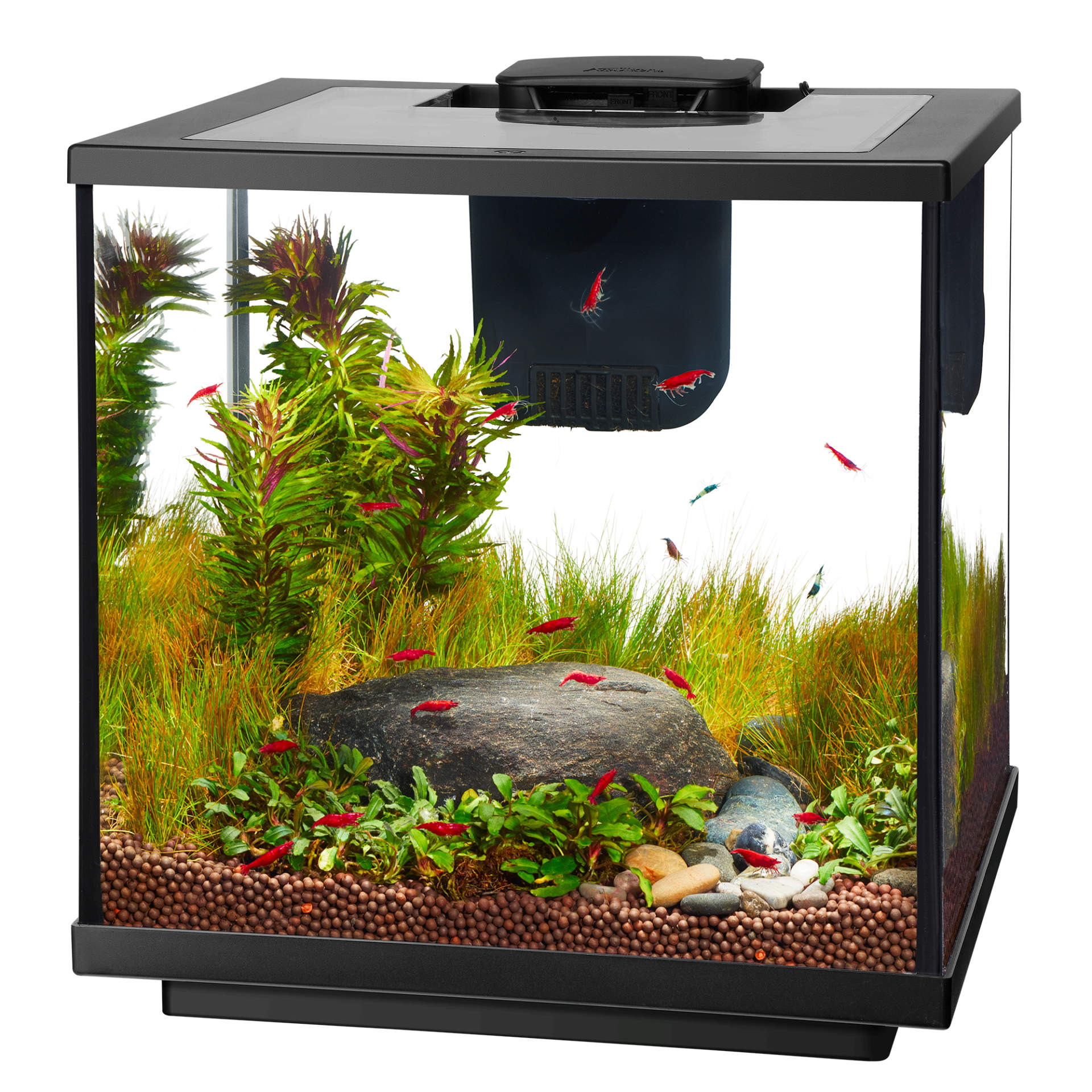 Aquarium Starter Kit Fish Tank Kit Aqueon Aquarium Products