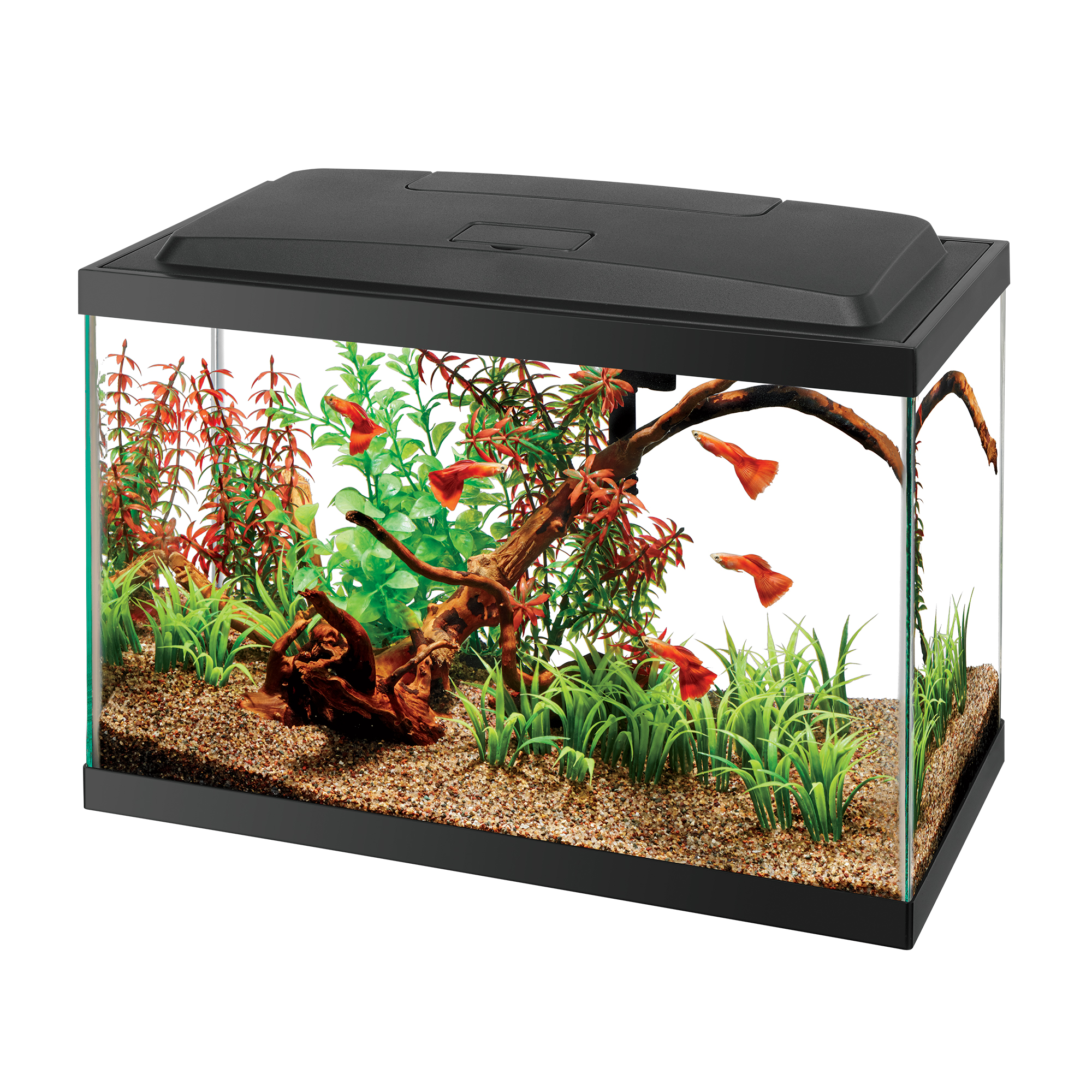 Aquarium Starter Kit, Fish Tank Kit