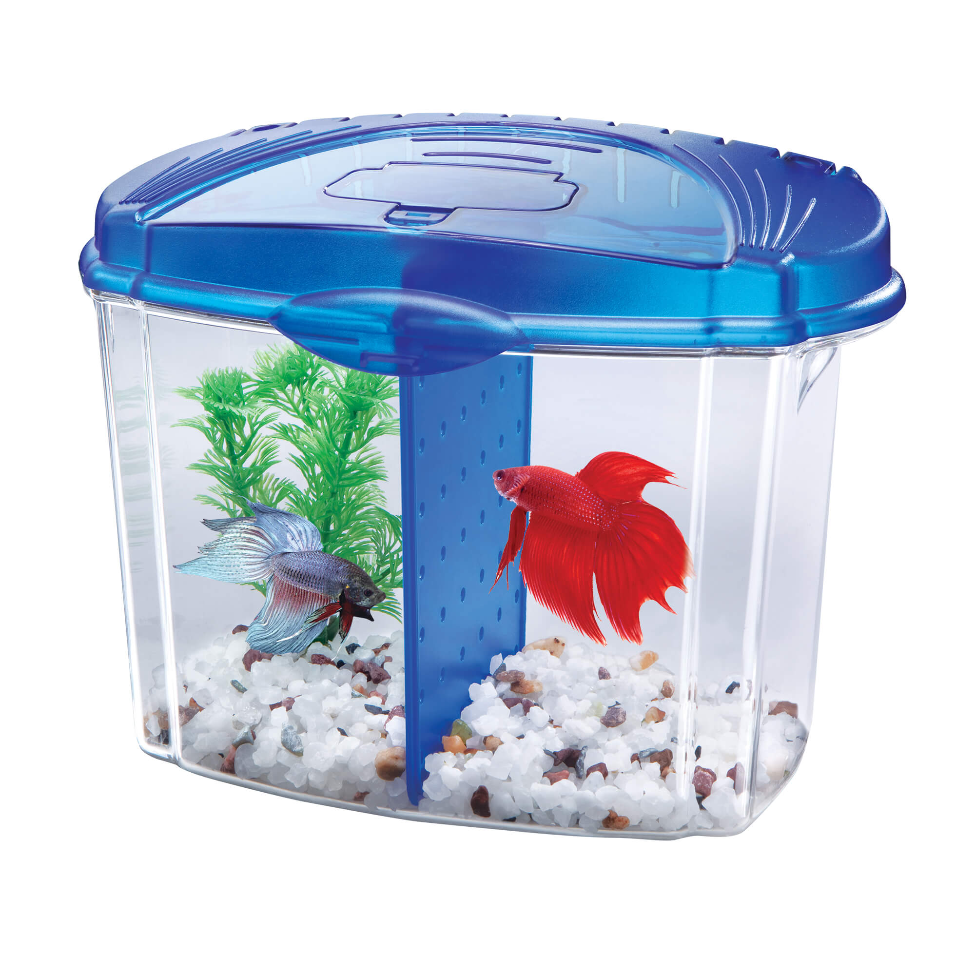 Aquarium Starter Kit, Fish Tank Kit