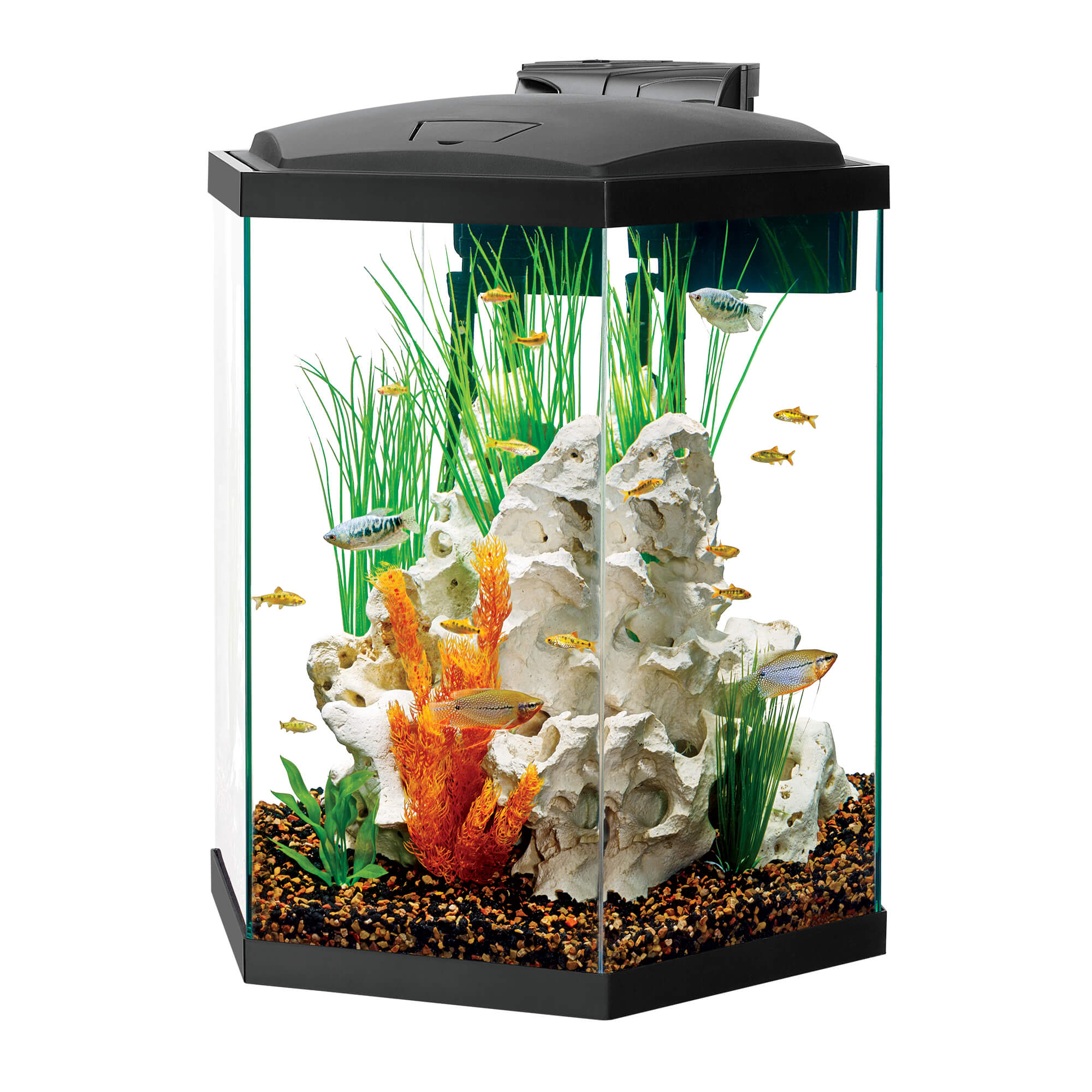 Aqueon 10 Gallon Hexagon Pine Aquarium Stand CountryMax