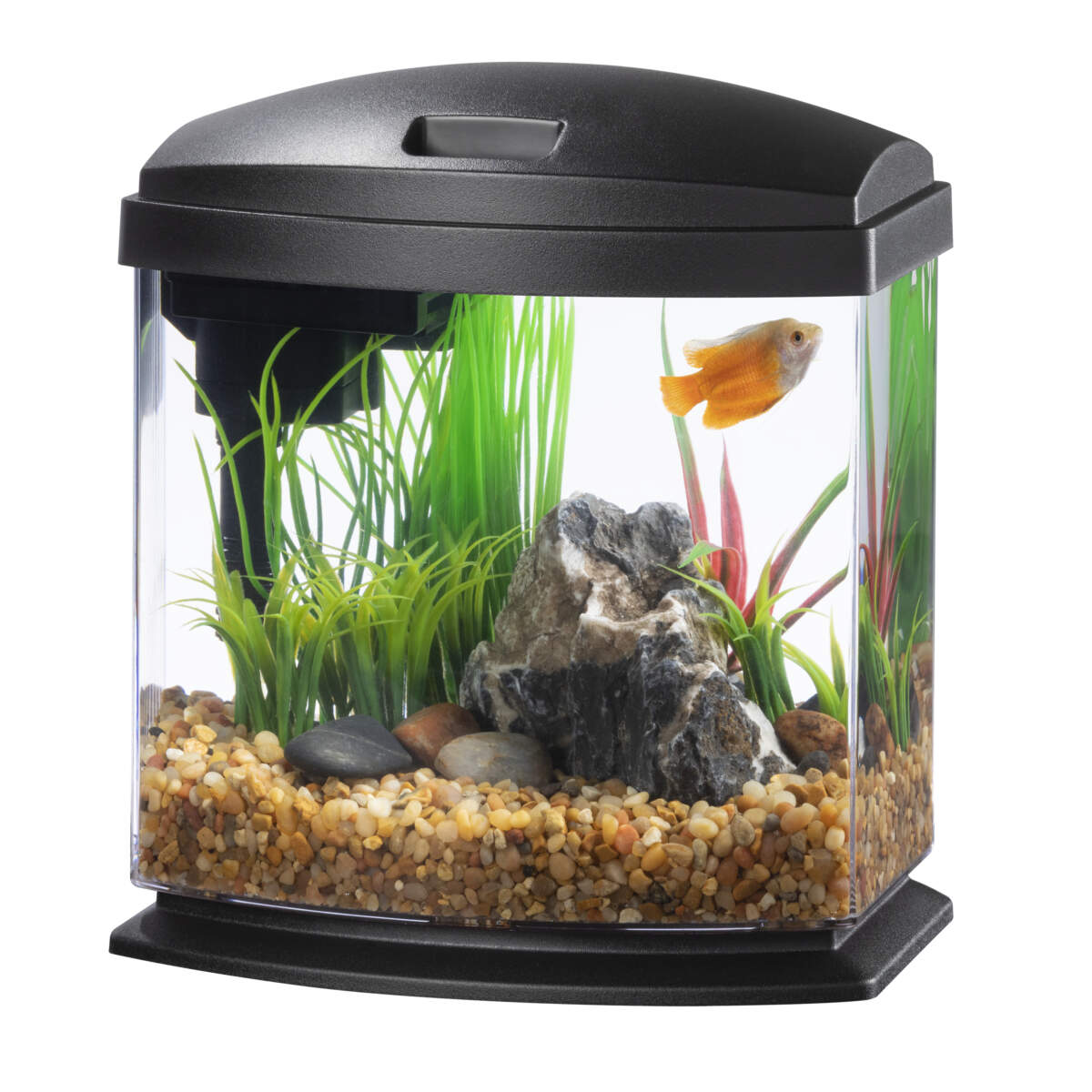 thumbnail interactive-video image 1 of Fish Tank Starter Aqueon 1-Gallon LED MiniBow Aquarium Kit - Sleek 1 of 1