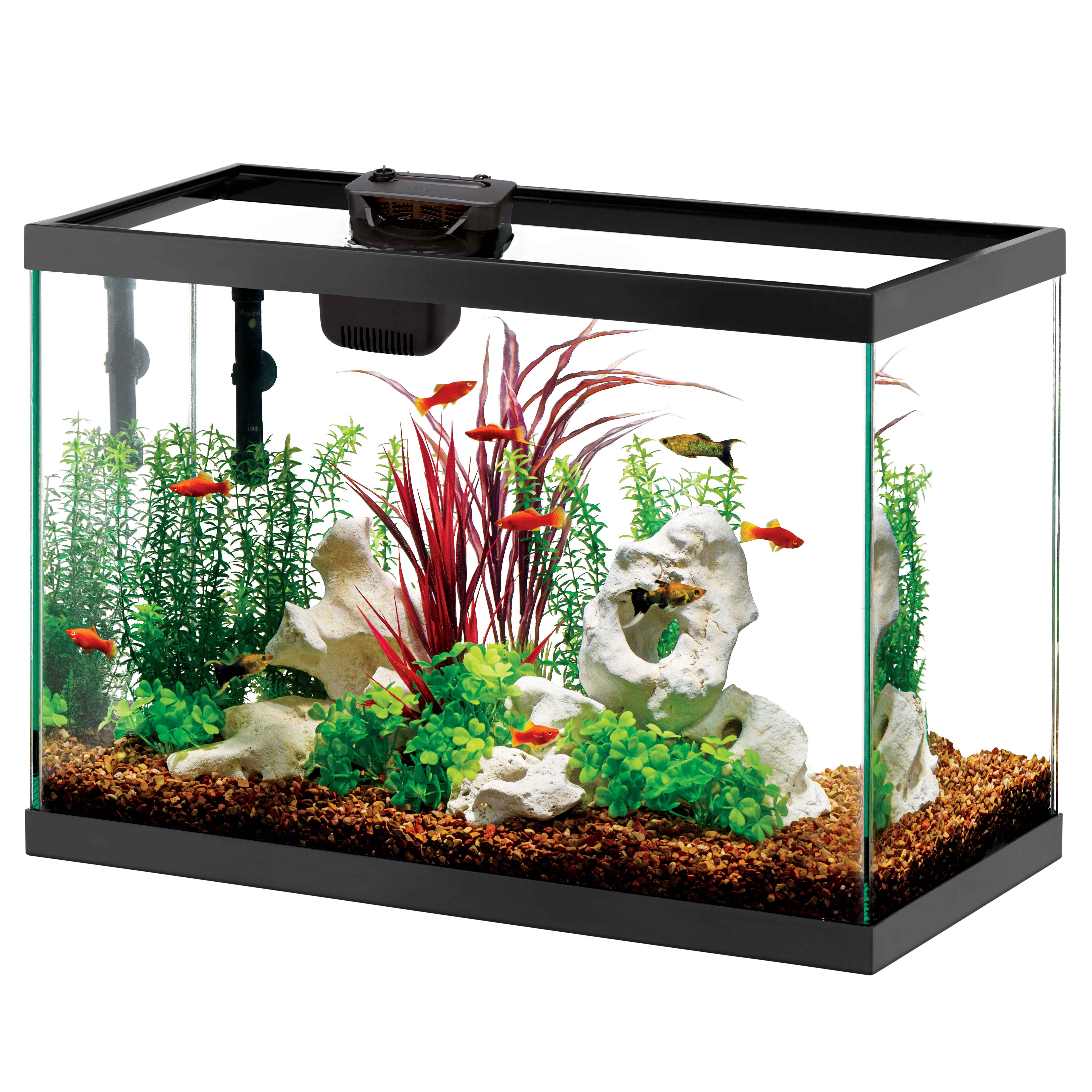 100552047_AQ_ECOM Kits_with SmartClean Internal Filter (1)