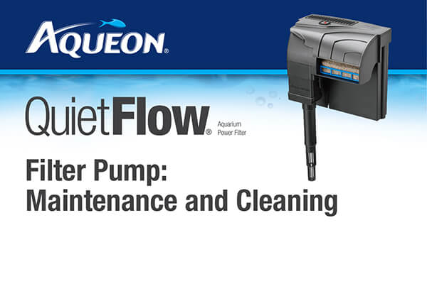 Aqueon QuietFlow Filter Pump Maintenance and Cleaning