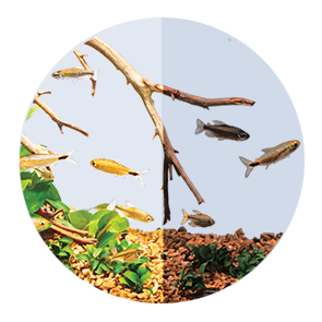 Aqueon Light Benefits Medallion Adjustable Light