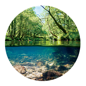 Aqueon Light Benefits Medallion Mimic Natural