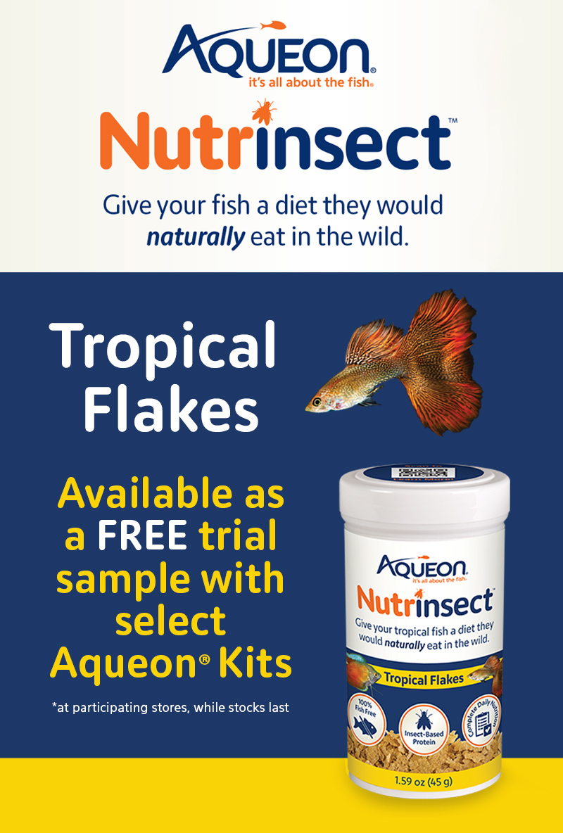 AQ Nutrinsect Bottom Banner Tropical Food