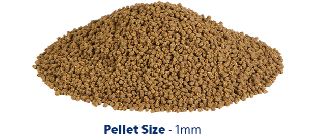 AQ Nutrinsect Banner 5Varieties Pellets Left