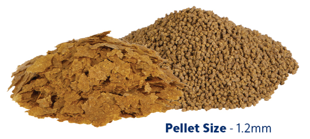 AQ Nutrinsect Banner 5Varieties Pellets Right