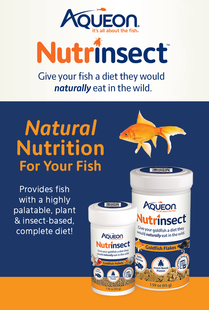 Aqueon fish food cheap