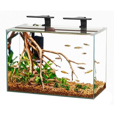 Starting A New Aquarium - What to Expect In The First 60 Days