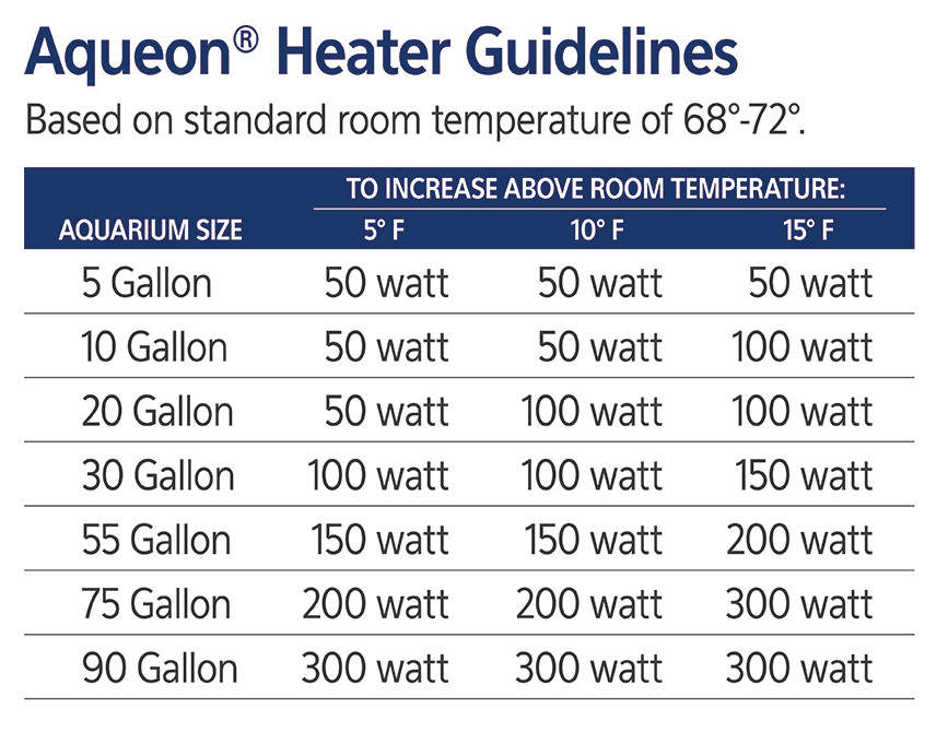 Correct Aquarium Water Temperature