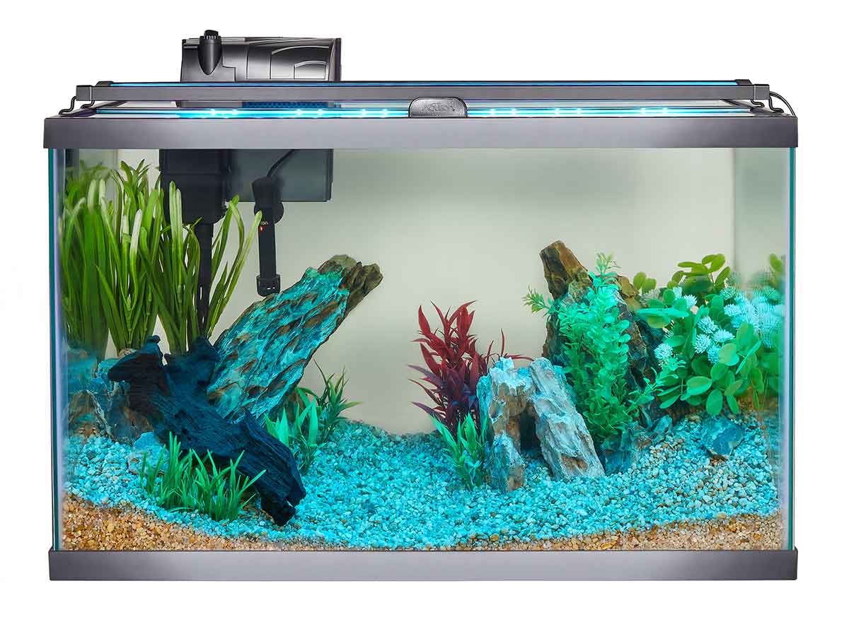 Ensuring you have the right light for your aquarium is important for the health of your fish. 