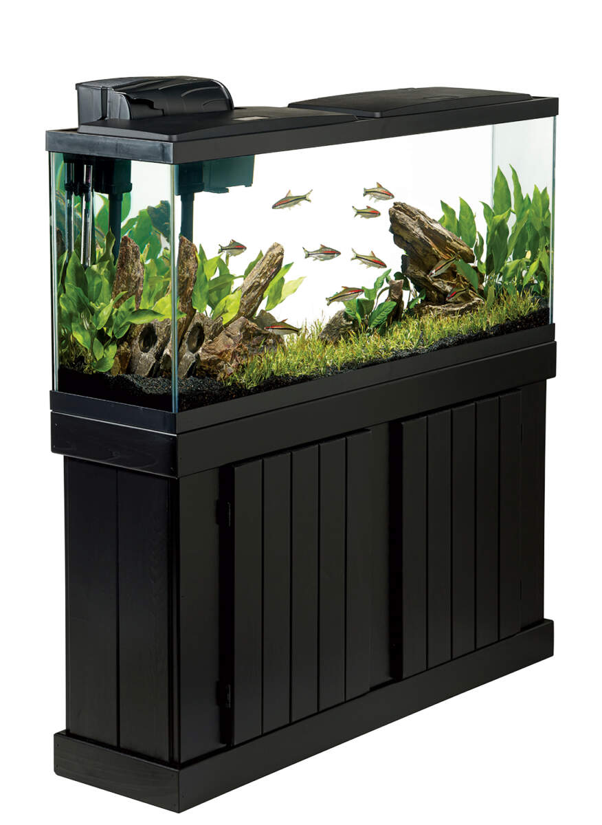 55 Gallon Aquarium Fish Tank Ensemble