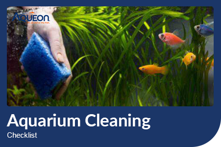 Aquarium Cleaning Checklist