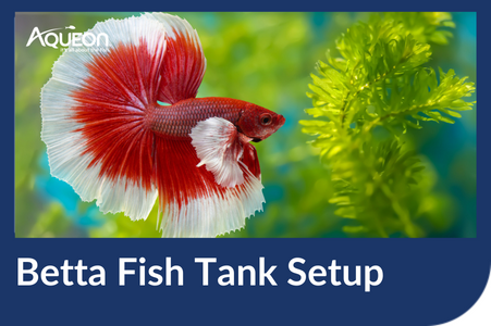 Top fin betta water conditioner sales