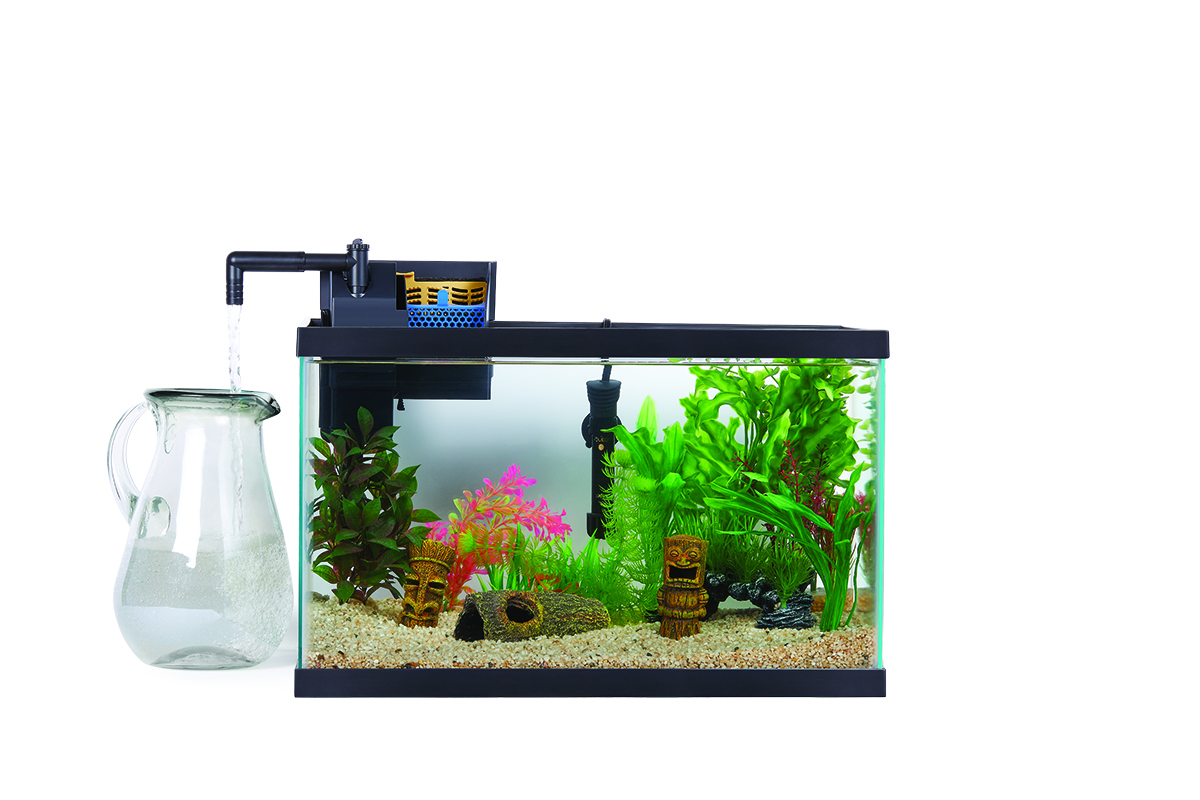 https://www.aqueon.com/-/media/project/oneweb/aqueon/us/blog/aquarium-filtration-basics/aquarium-filtration-basics.jpg?h=800&hash=E94E54B8B56367904EC133A1DBE05011&iar=0&w=1200