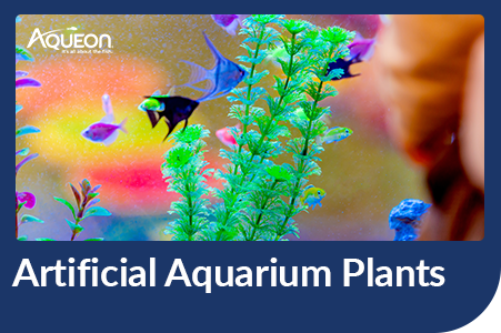 https://www.aqueon.com/-/media/project/oneweb/aqueon/us/blog/artificial-aquarium-plants/2021nov_aqueon_blogheaders_451x300-artificialaquariumplants.png