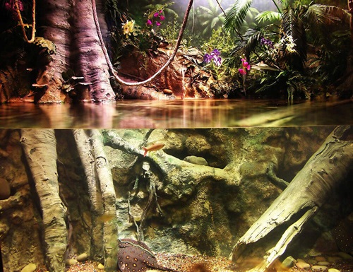 How To Choose The Best Aquarium Lighting - Aqueon