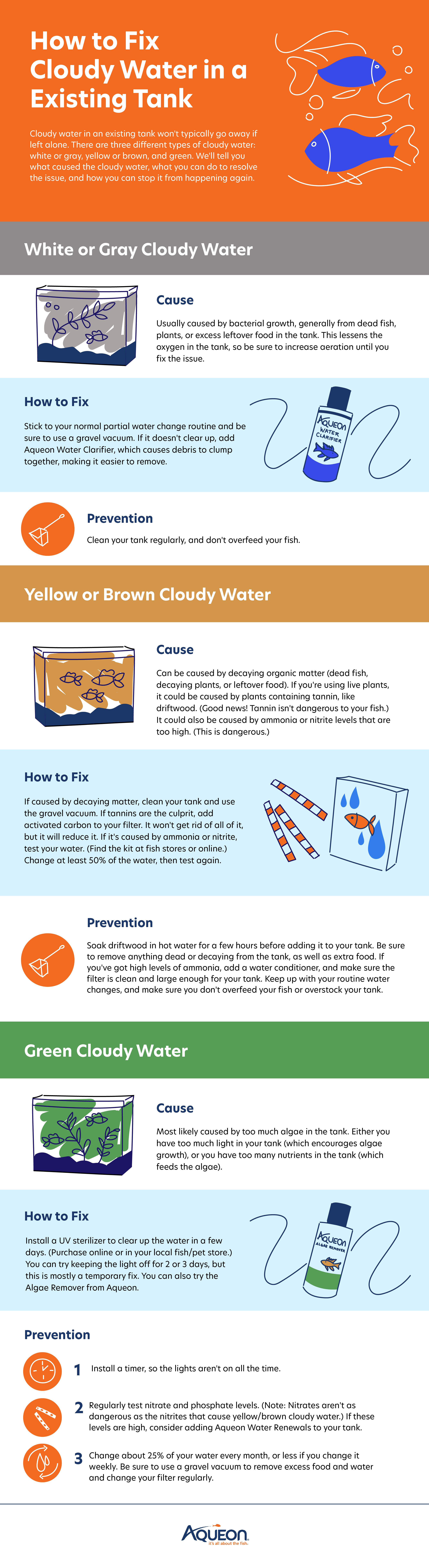 FINAL How to Fix Cloudy Water in a Existing Tank