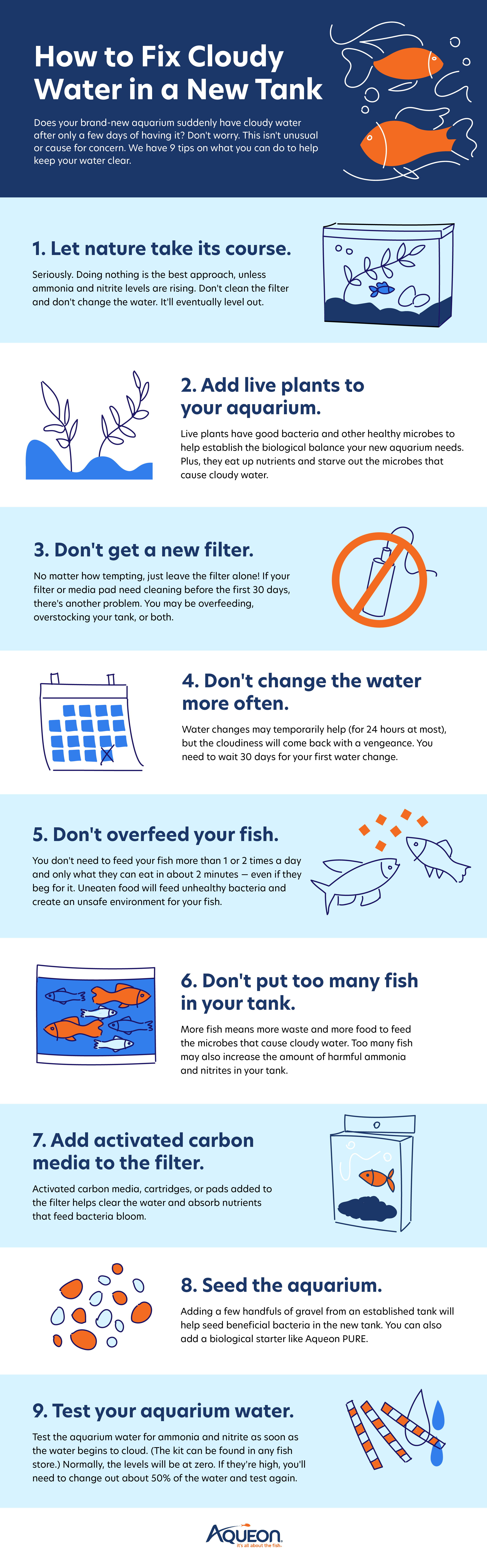 FINAL How_to_Fix_Cloudy_Water_in_a_New_Tank