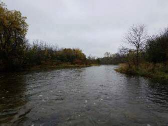 Aqueon Collecting and Keeping Native Fish