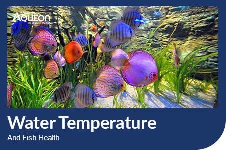 Water Temperature and Fish Health