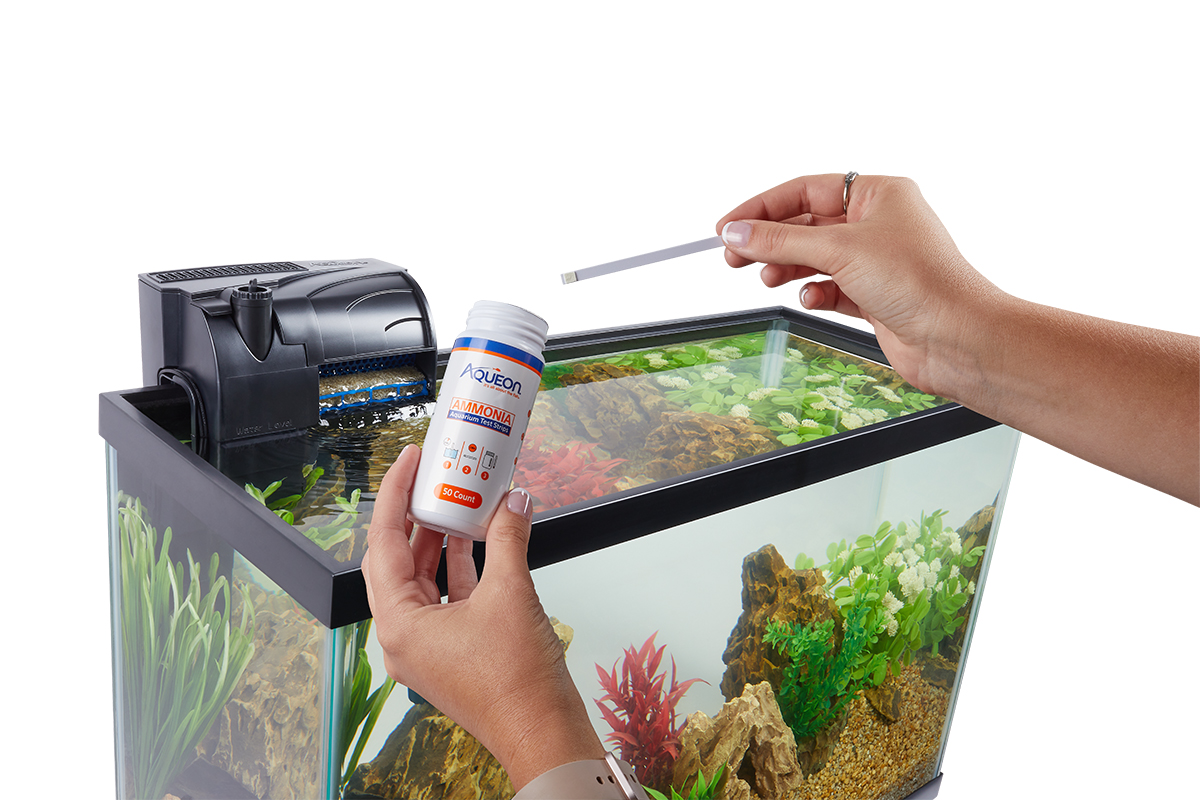 Ammonia is toxic to the fish in your aquarium. Checking ammonia levels regularly helps keep your fish healthy.