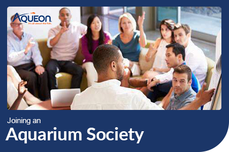 Aqueon blog joining an aquarium society