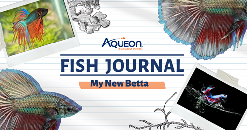 Aqueon Fish Journal 