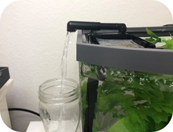 Aqueon New Betta Tank Journal