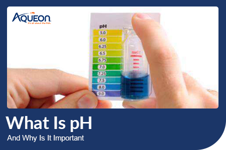 What is pH and Why Is It Important?