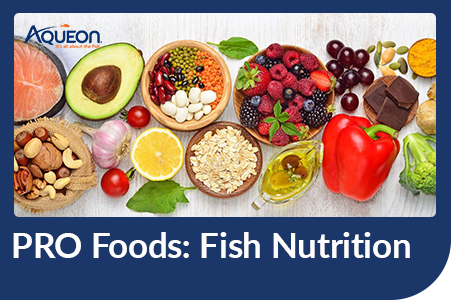 Aqueon Pro Foods Fish Nutrition Blog Post