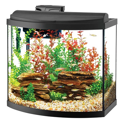 Aqueon 26 LED Bow Aquarium