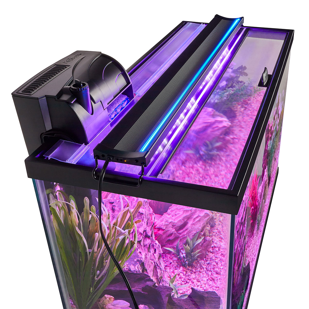 The right aquarium lights can make the difference in a healthy fish tank environment.