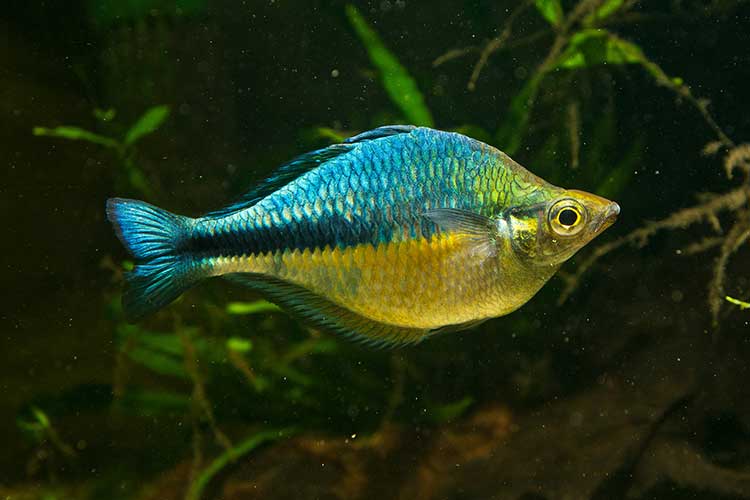 shutterstock_402592381-web