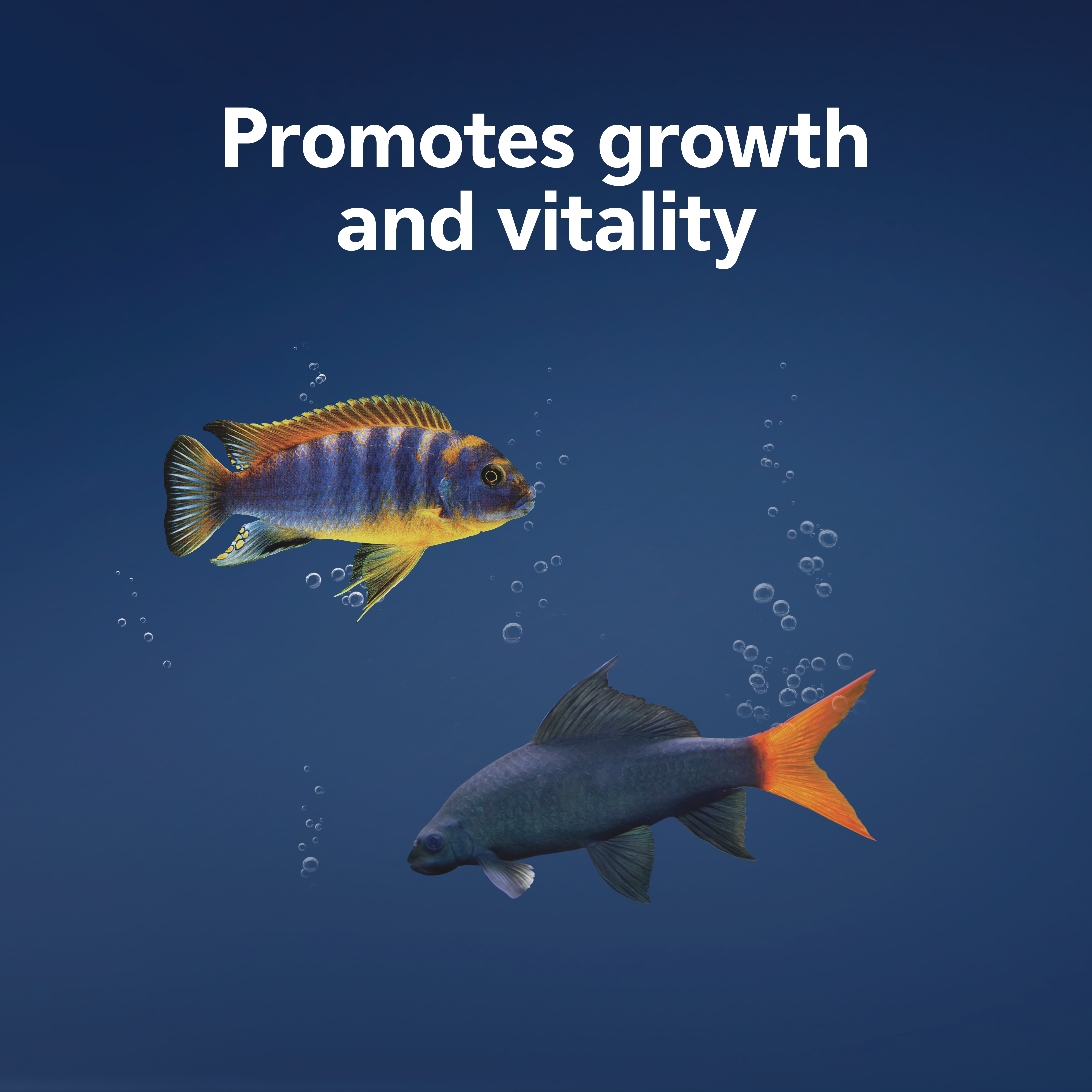 AQ_100552990_Infographic03