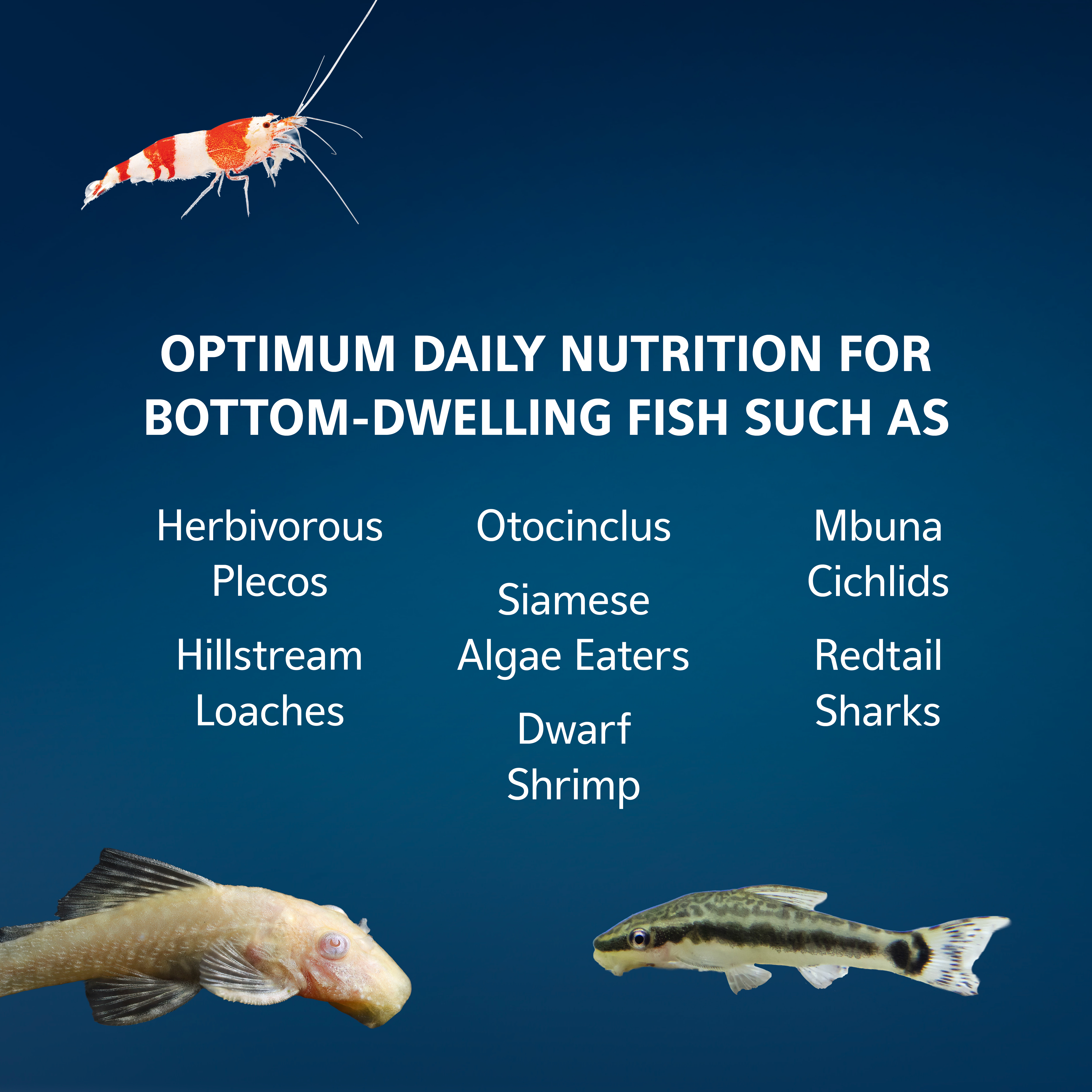 AQ_100552990_Infographic04