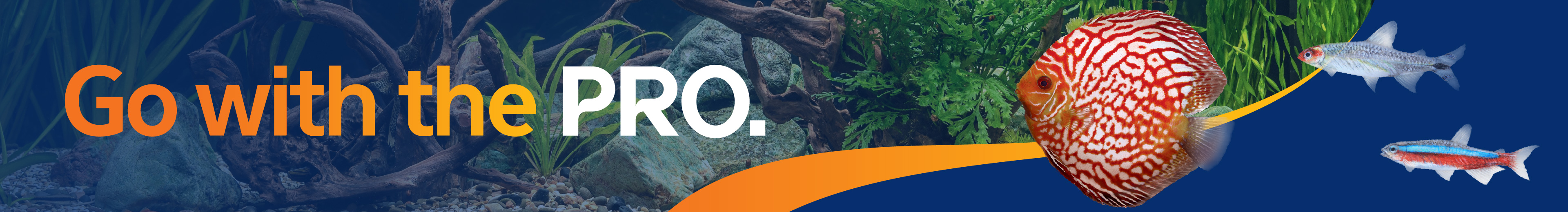 Go with the PRO_Website Banner