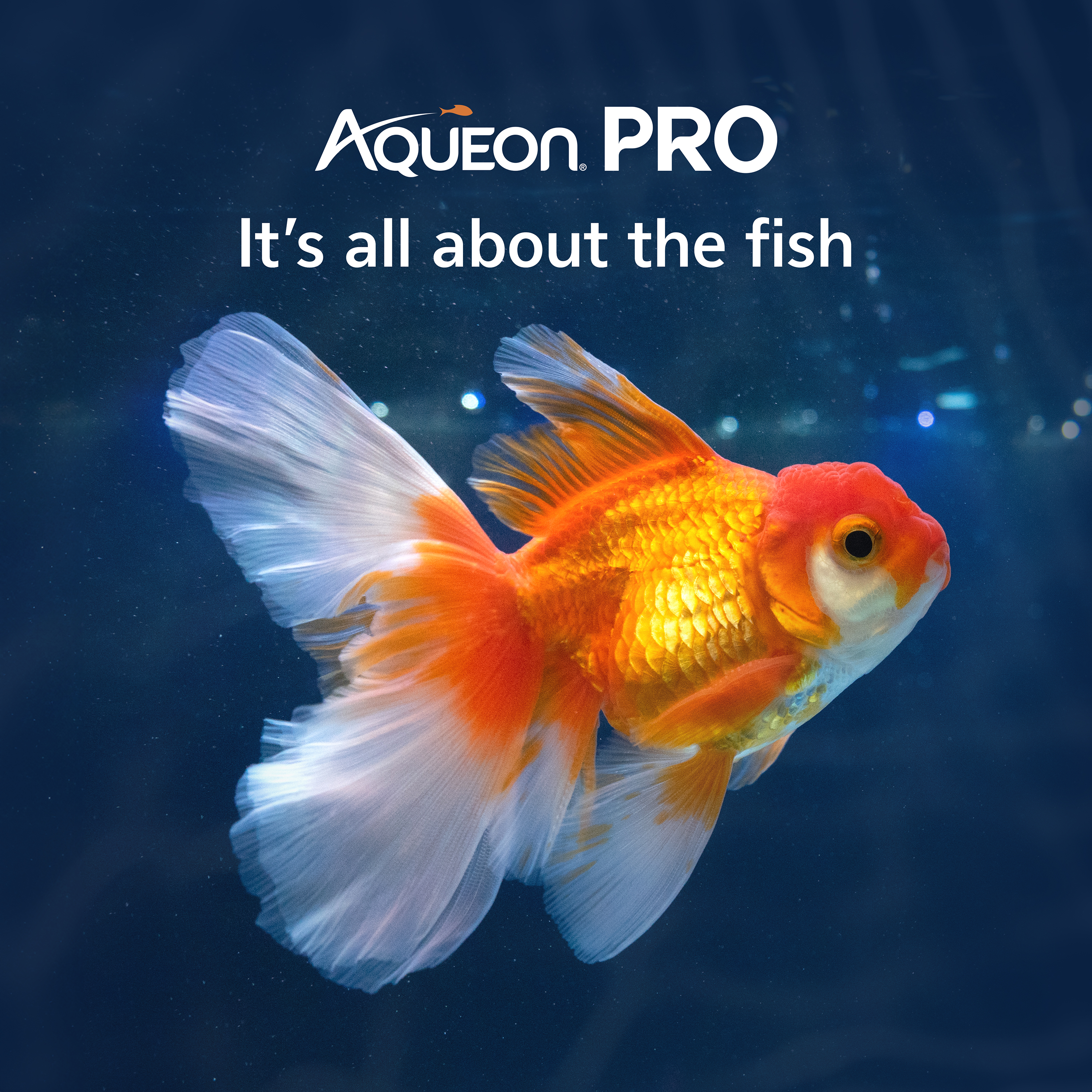 aqueonpro_lifestyle02_brandinga