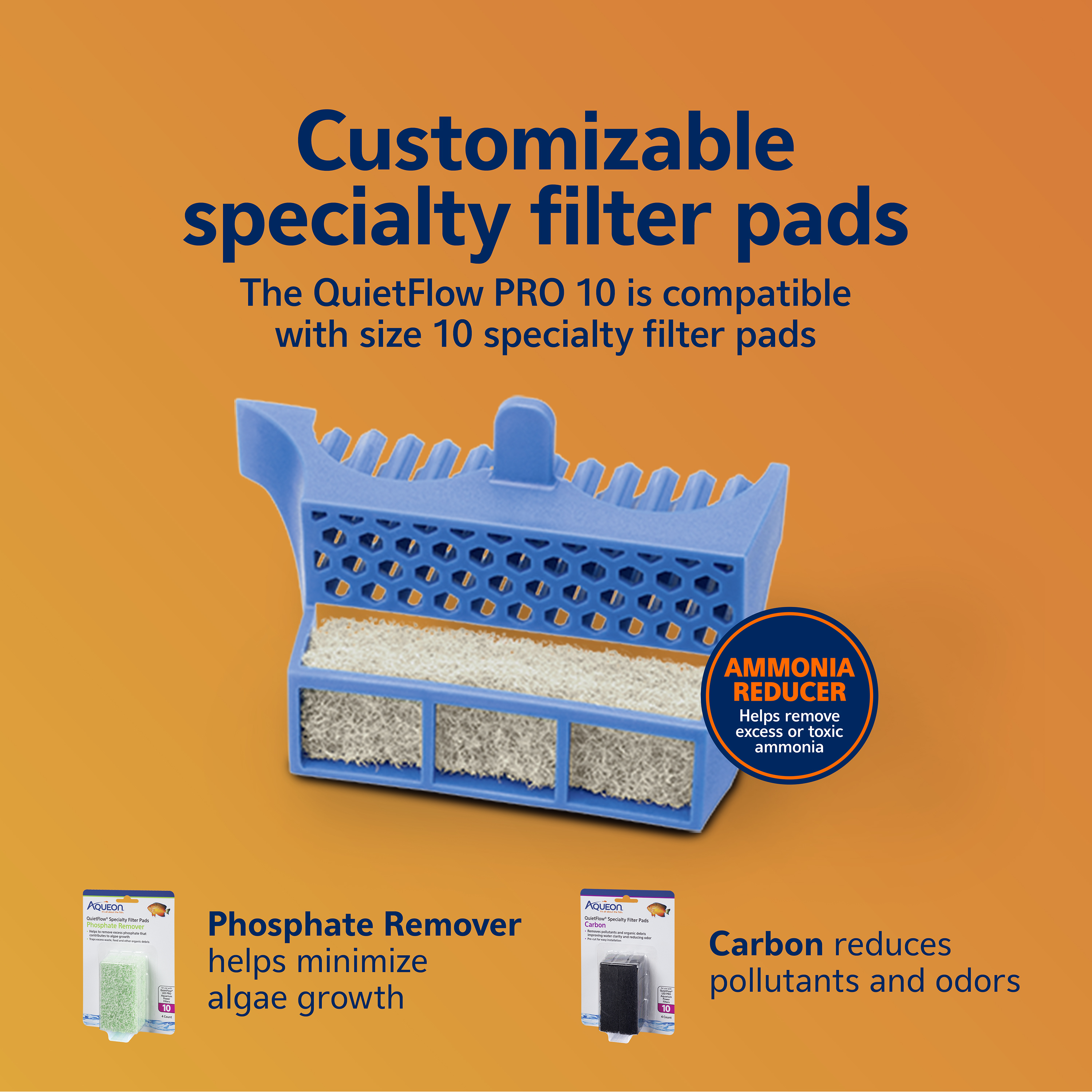 sapm100552233_infographic06