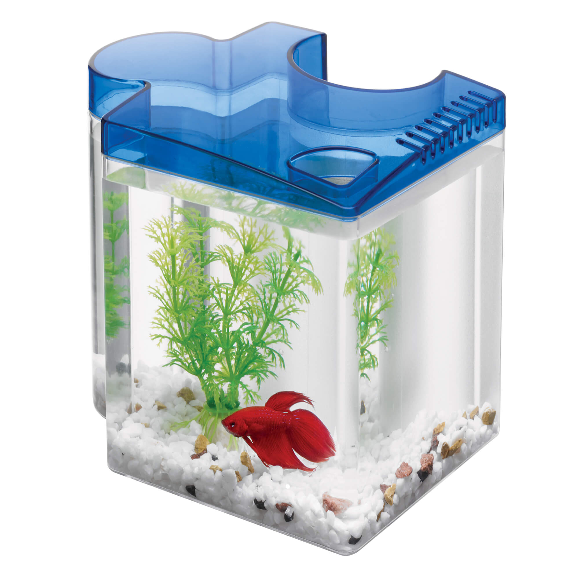 Aqueon Betta Puzzle Aquarium Kit Blue
