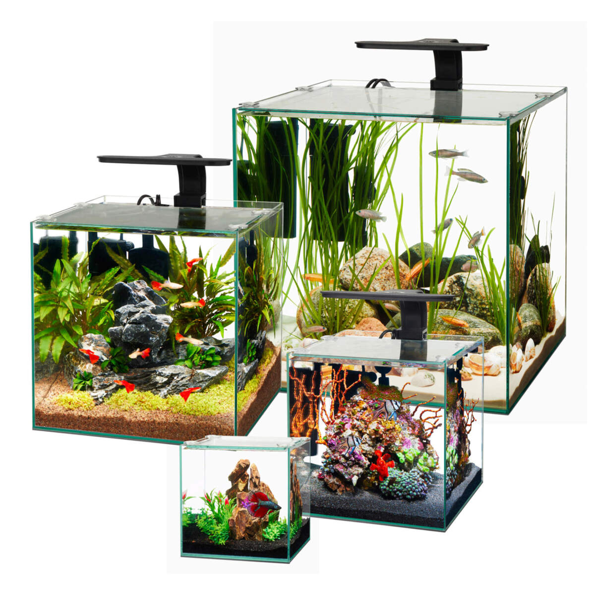Frameless Cube Aquariums Aqueon