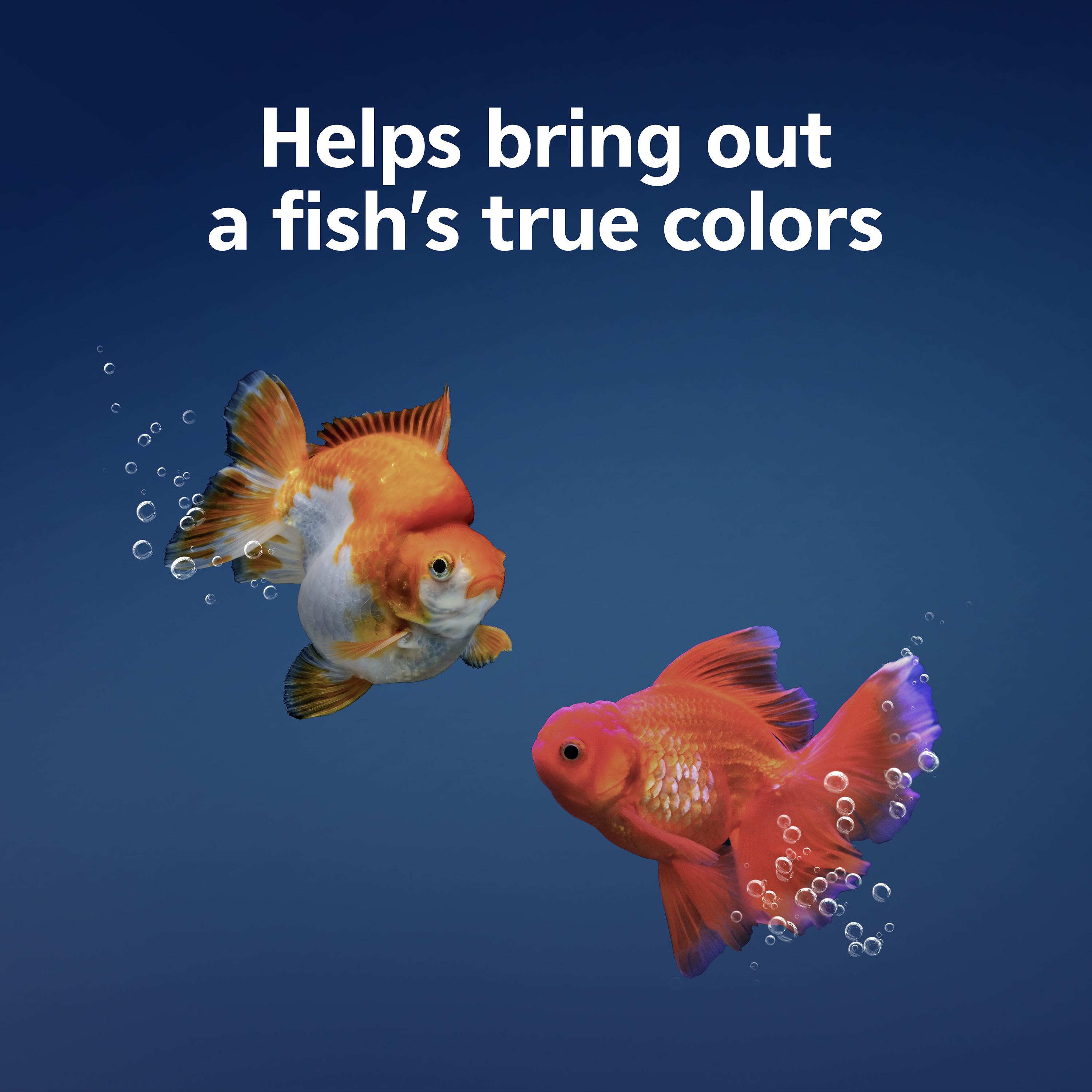 794329515-sapm100552186_infographic02-1