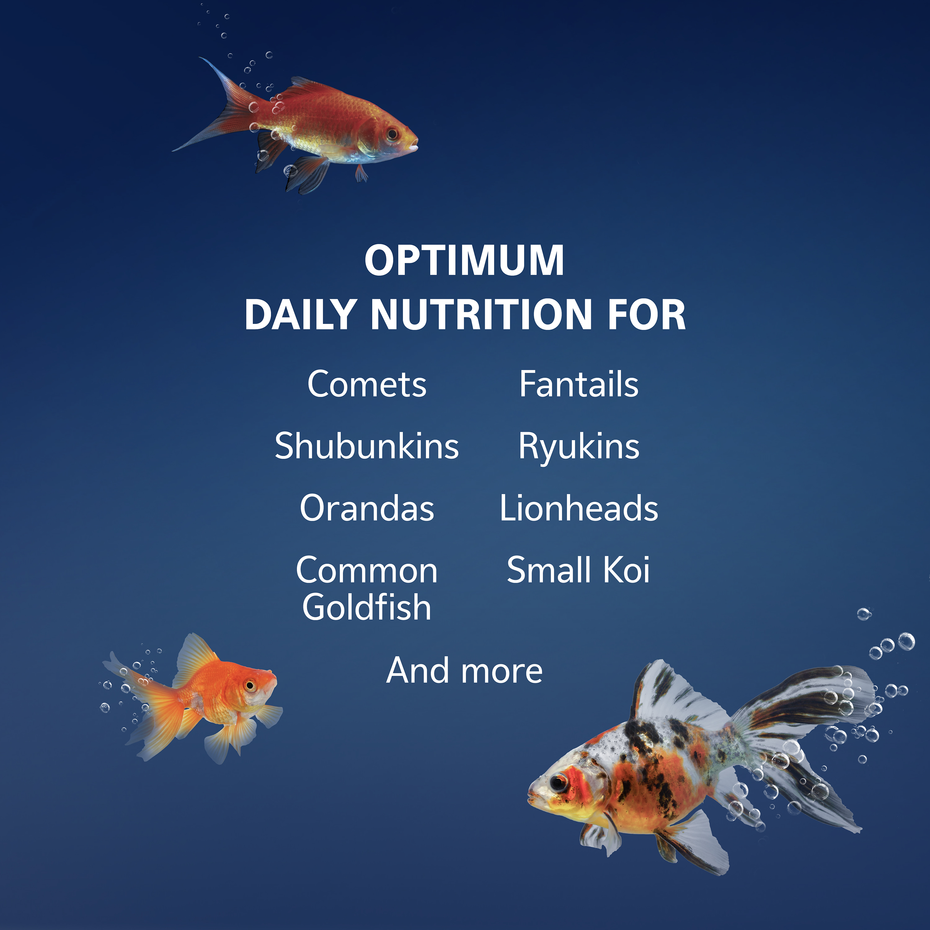 794329549-sapm100552186_infographic04-1