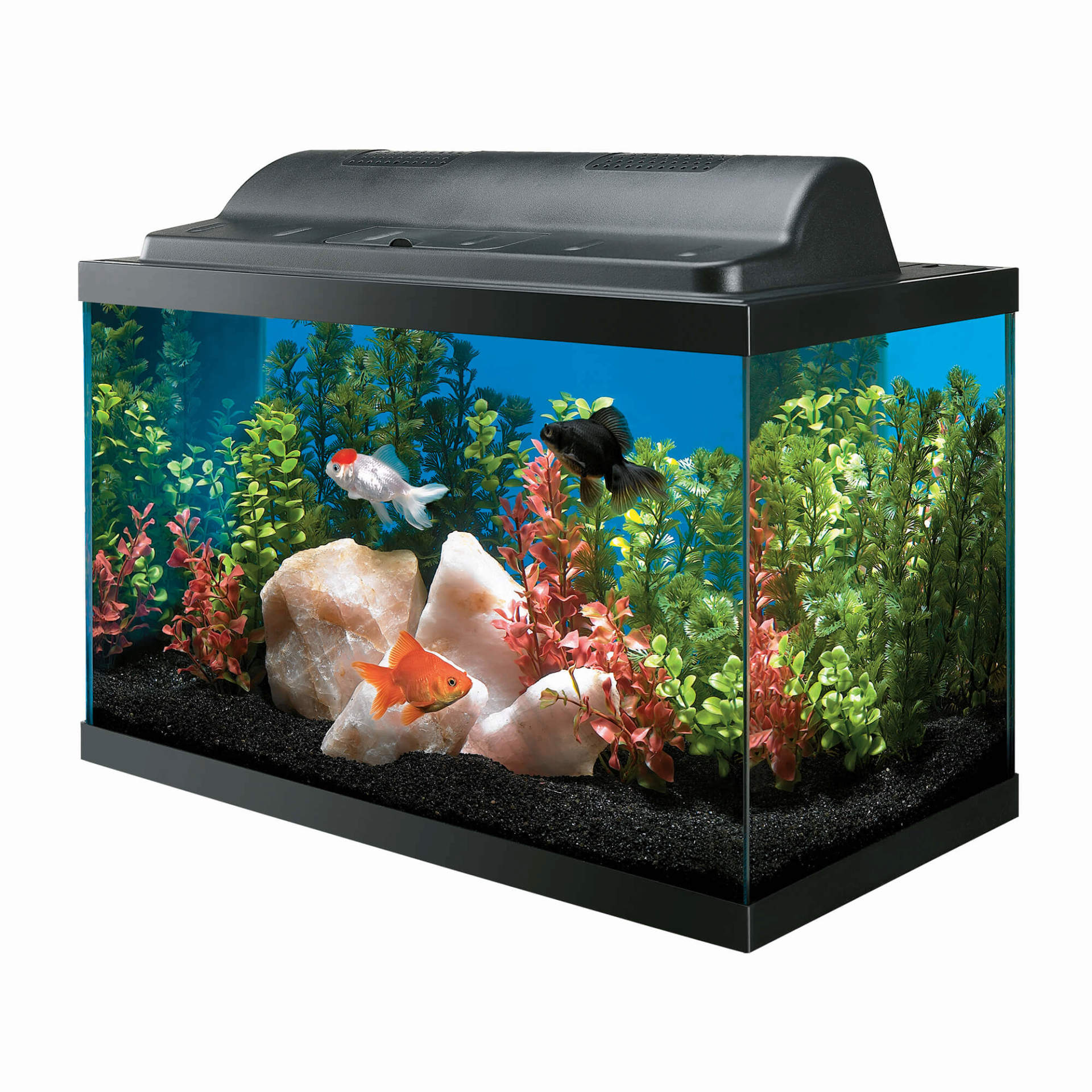 Incandescent Aquarium Kit