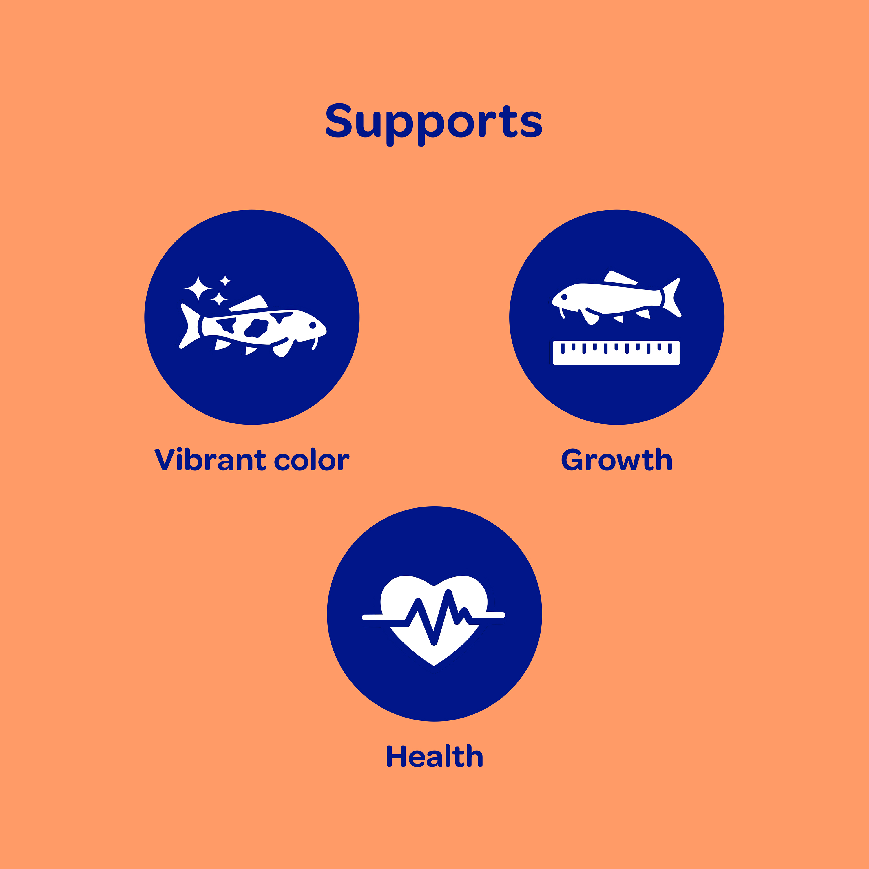 koischoice_infographic03
