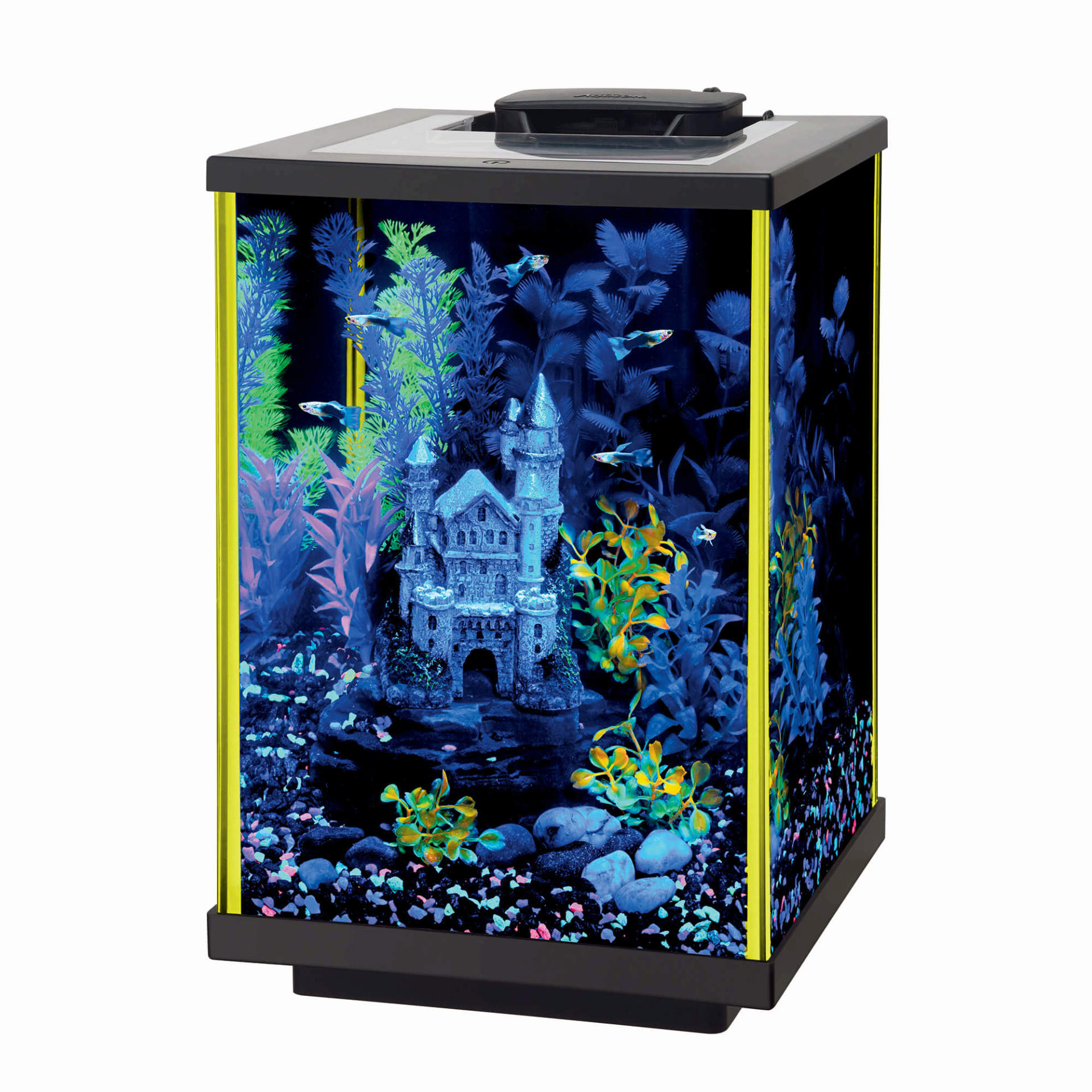 Aqueon led aquarium starter kit column black 15 gallon cheap