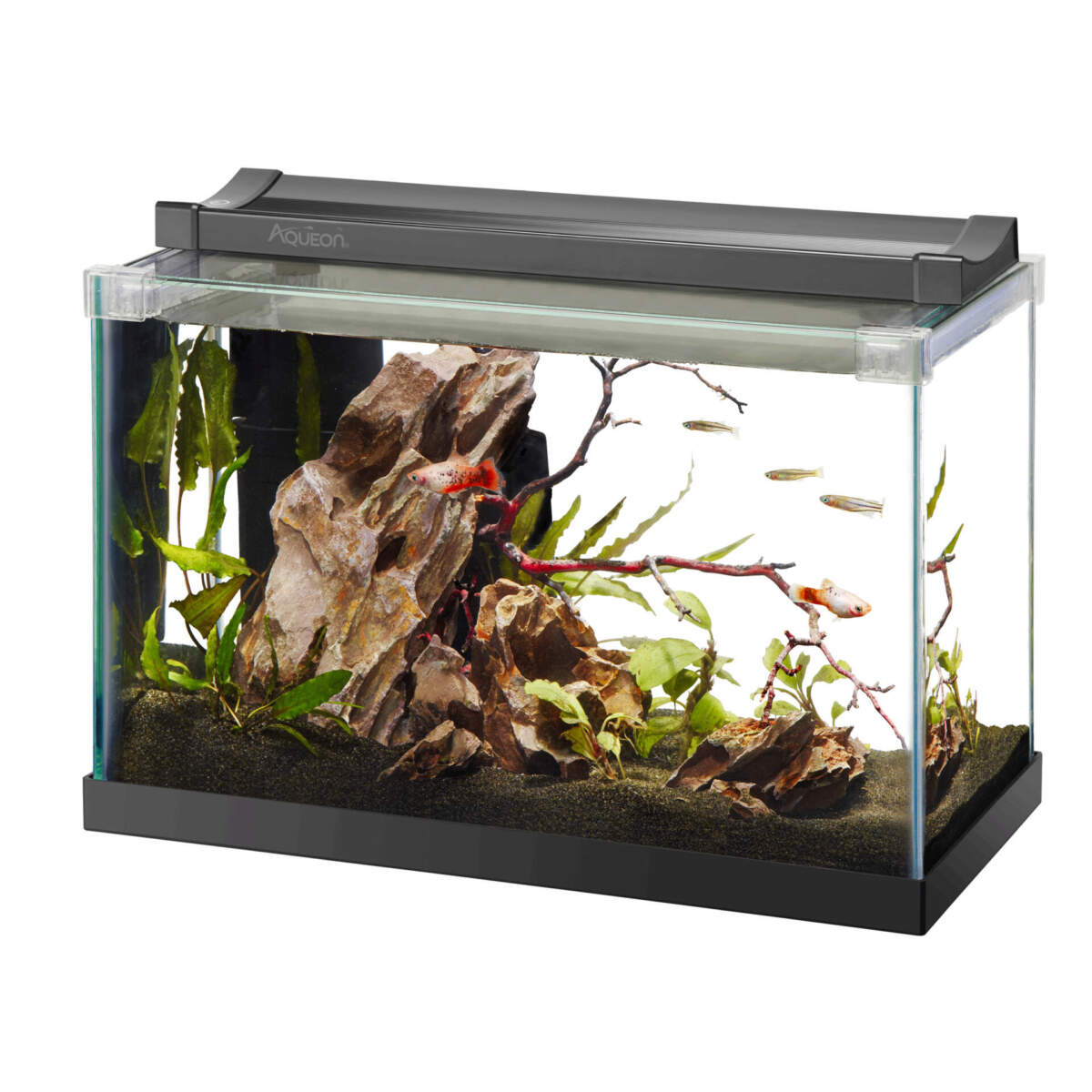 Aqueon Rimless Rectangle Aquarium